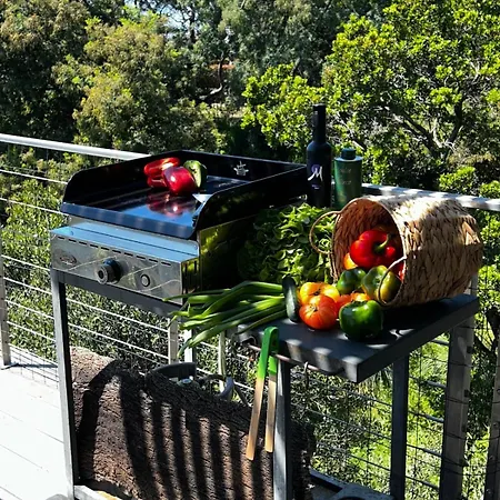 Scappà Porticcio * Grosseto-Prugna