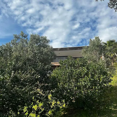Scappa Porticcio - Piscine & Vue * Grosseto-Prugna